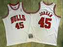 Regata NBA Chicago Bulls Retrô 1994-1995 Mitchell & Ness Authentic Jordan 45 - Branca