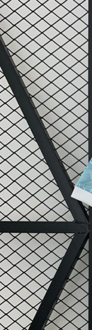 Camisa Juventus - Torcedor | 25/26