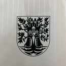 Camisa Real Celta - Torcedor I 25/26 | 100º aniversário