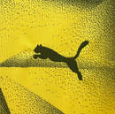 Camisa Borussia Dortmund - Torcedor | 23/24 (Fora)